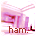 Hammam Hammam